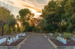 Ninxols Nichos cementerio cementiri ultima llar reus animales animals gossos perros gats gatos